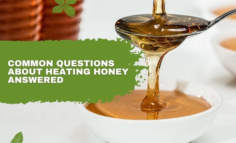 Common Questions About Heating Honey Answered